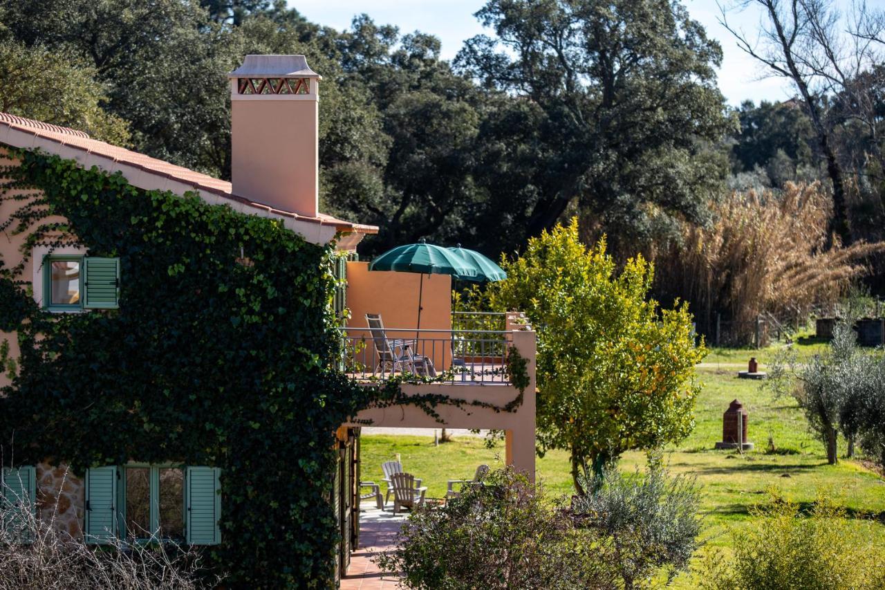 Vale De Ferreiros Guest House Abrantes Eksteriør bilde