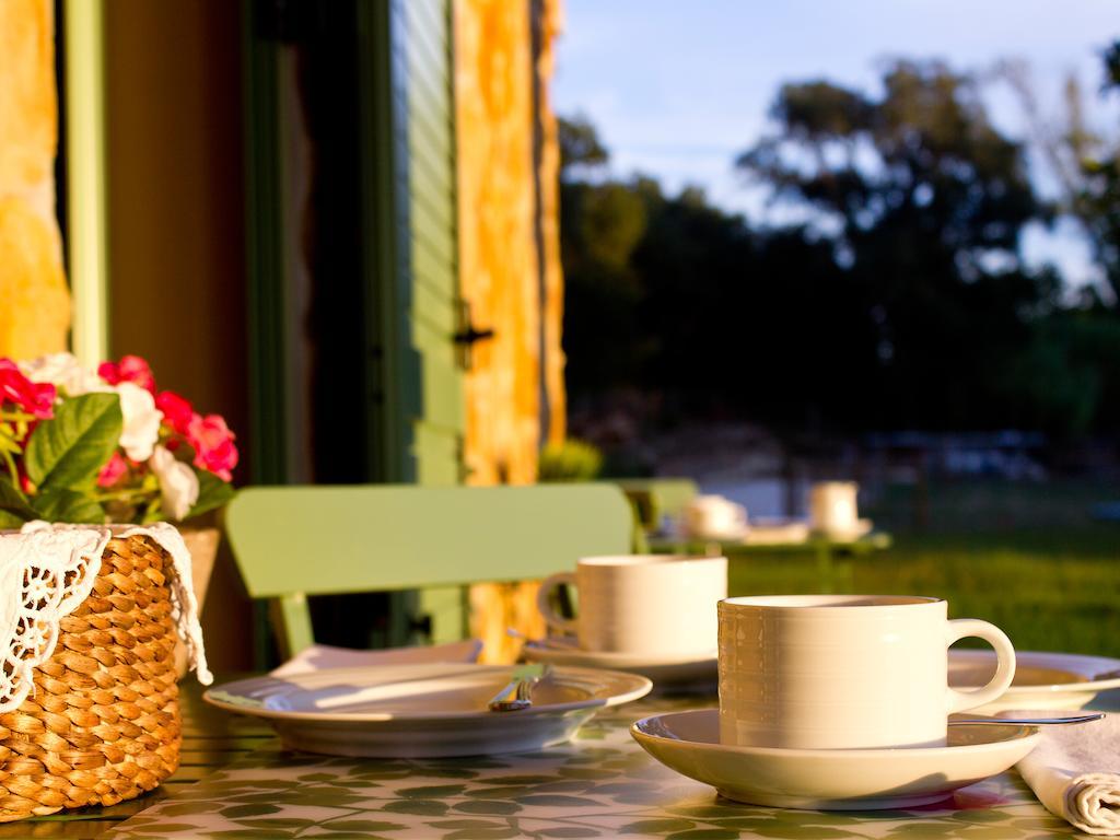 Vale De Ferreiros Guest House Abrantes Eksteriør bilde